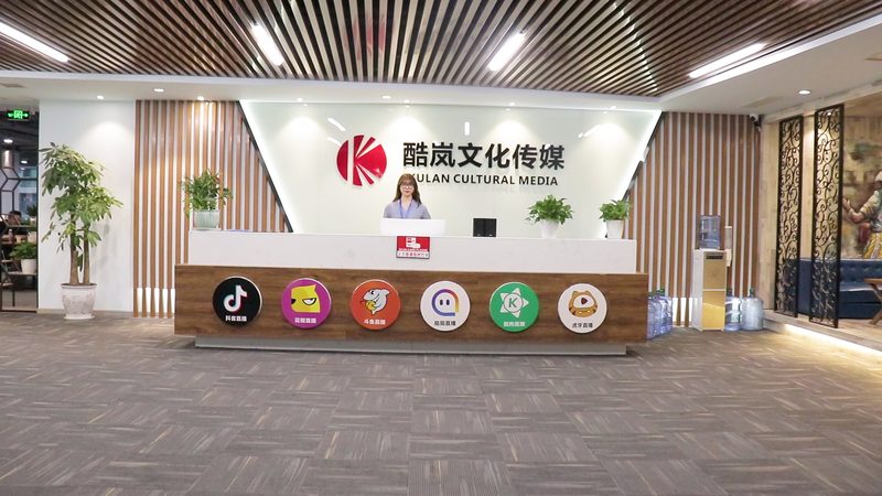 餐饮品牌策划与设计：打造差异化竞争的关键**