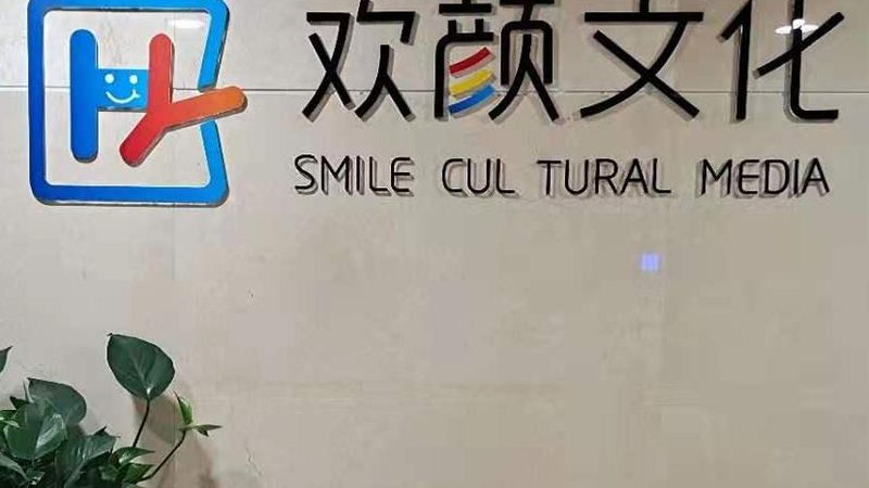 宣传片拍摄定制：揭秘十大品牌背后的专业与实力